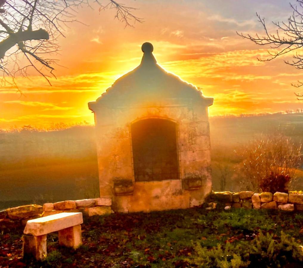 Domaine De Lejos - Portes D'Albi Lamillarie ภายนอก รูปภาพ