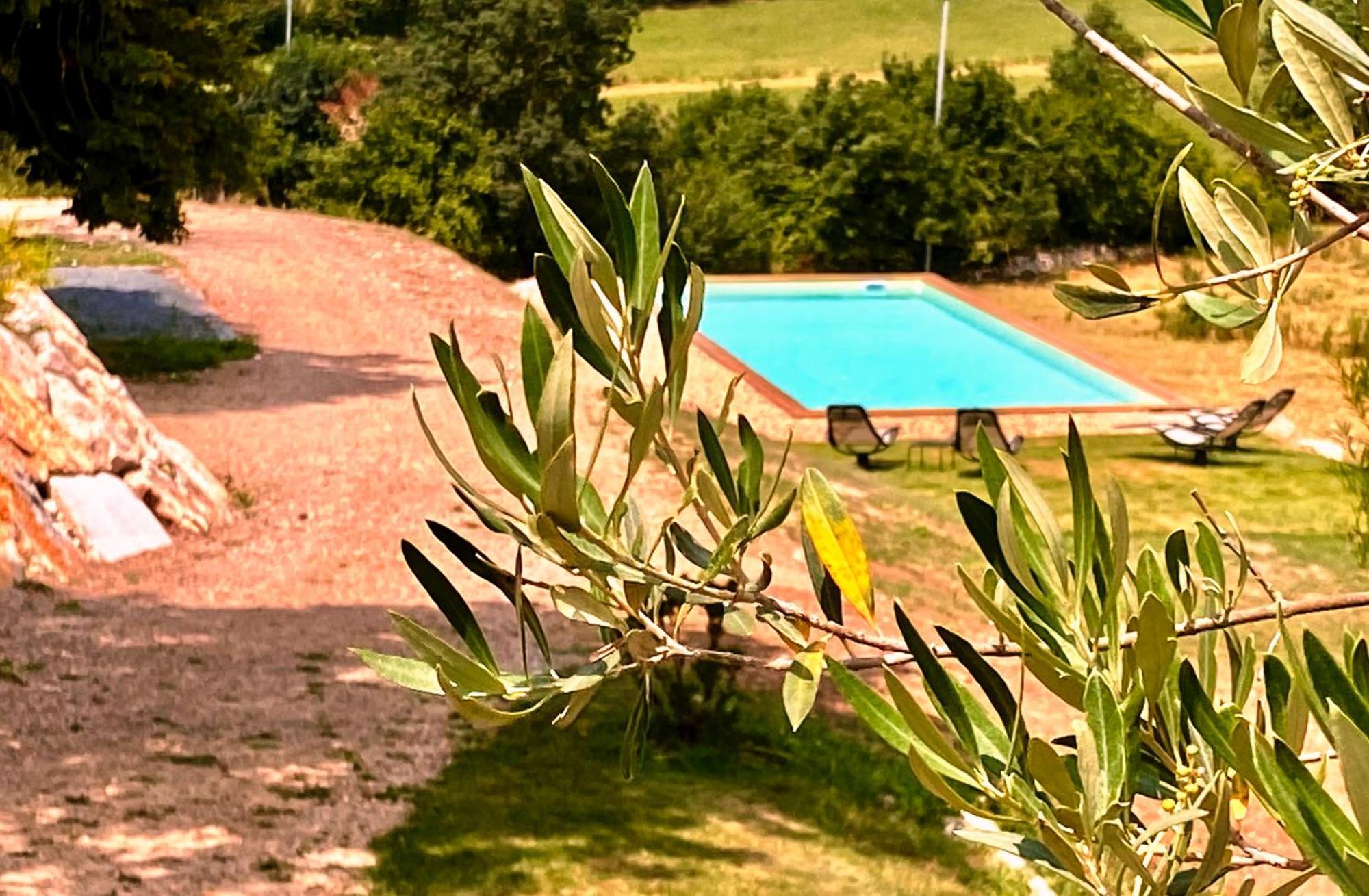Domaine De Lejos - Portes D'Albi Lamillarie ภายนอก รูปภาพ